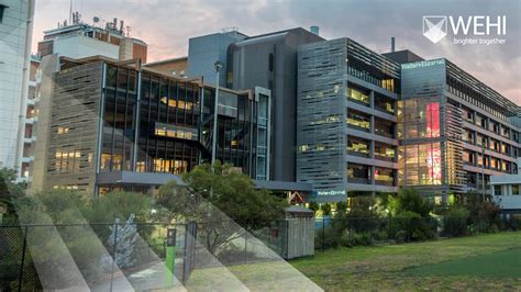 The Walter and Eliza Hall Institute of Medical Research (WEHI)